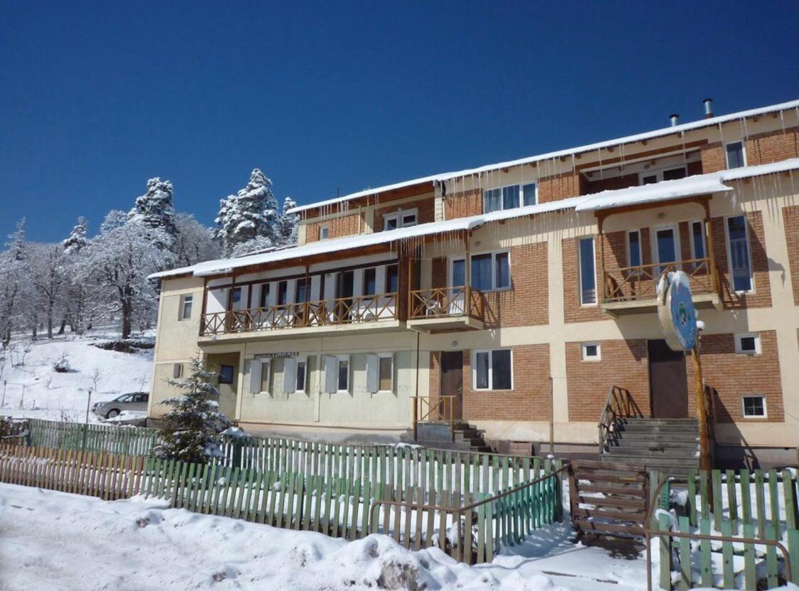 Hotel Apollon บาคูเรียนี ภายนอก รูปภาพ