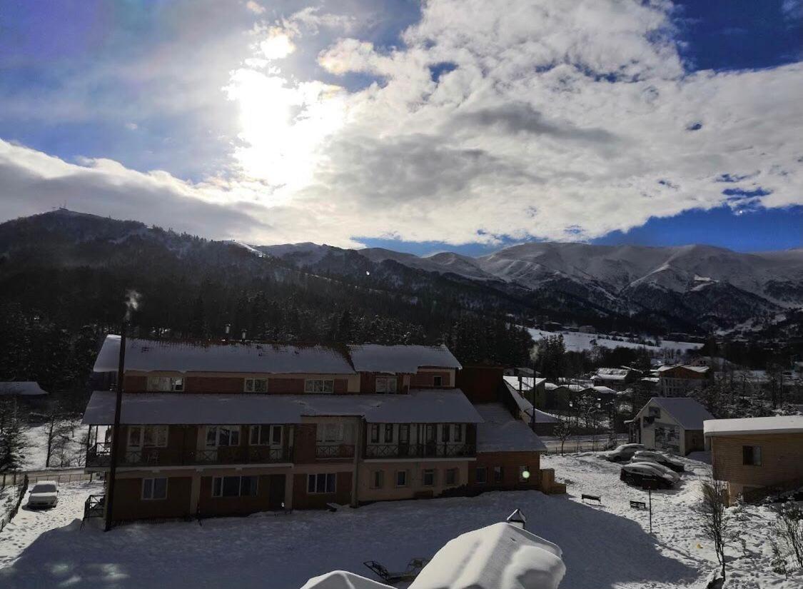 Hotel Apollon บาคูเรียนี ภายนอก รูปภาพ